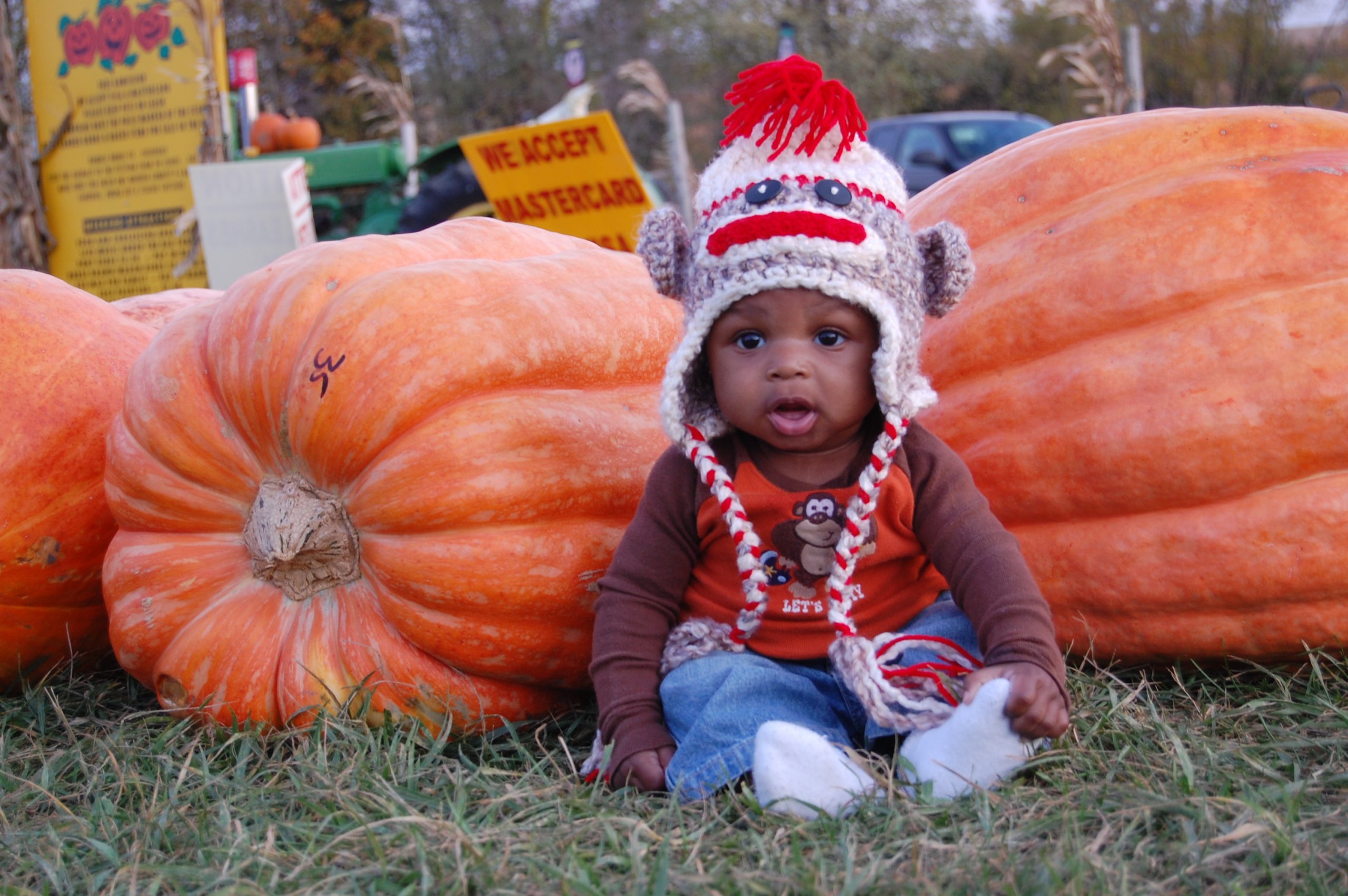 Carl at the pumpkin patch